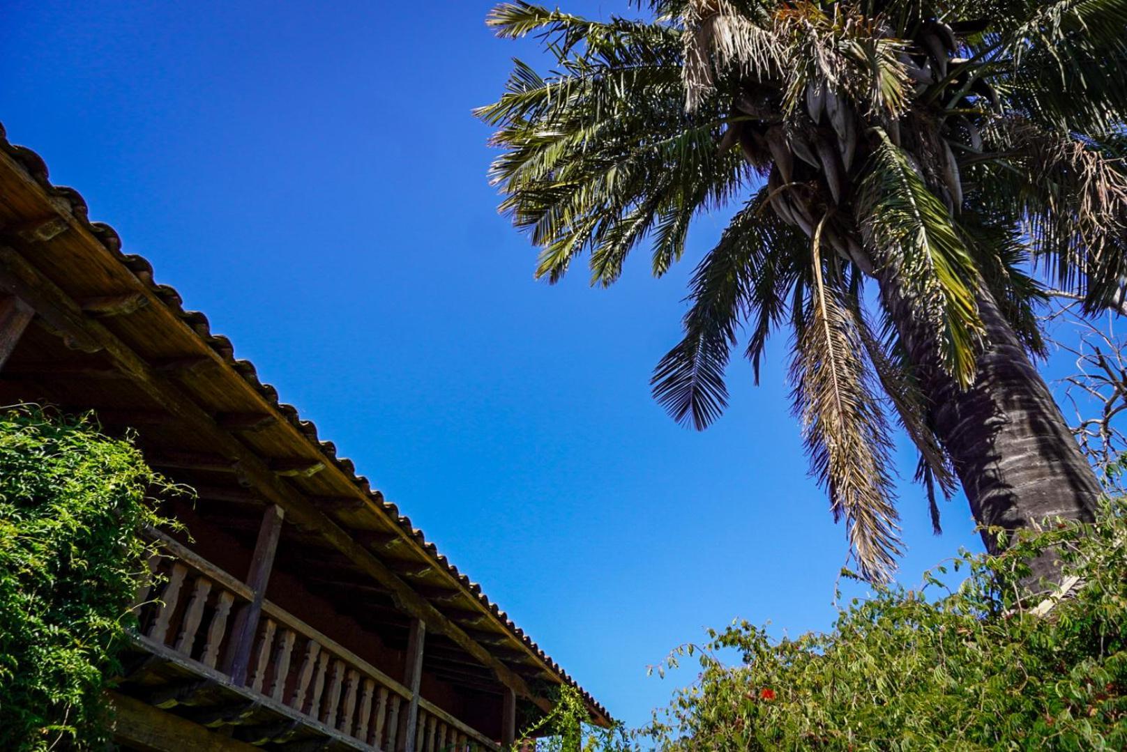 Bed and Breakfast Entre Vinas Santa Cruz Exterior foto